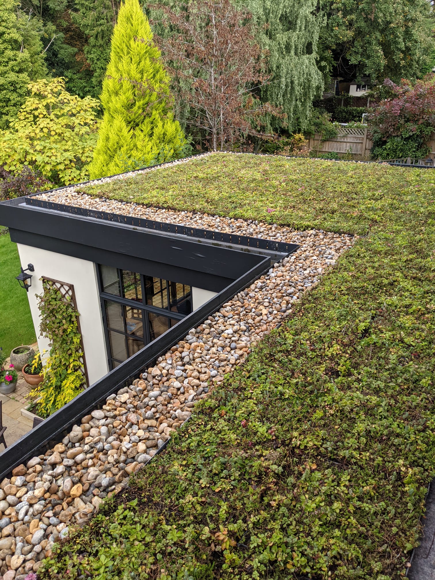 M-Trays®  Modular green roof system